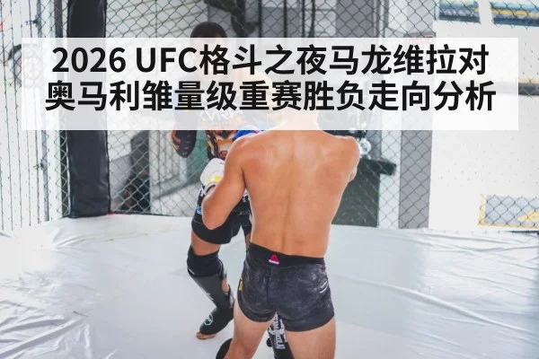 MMA cage fight
